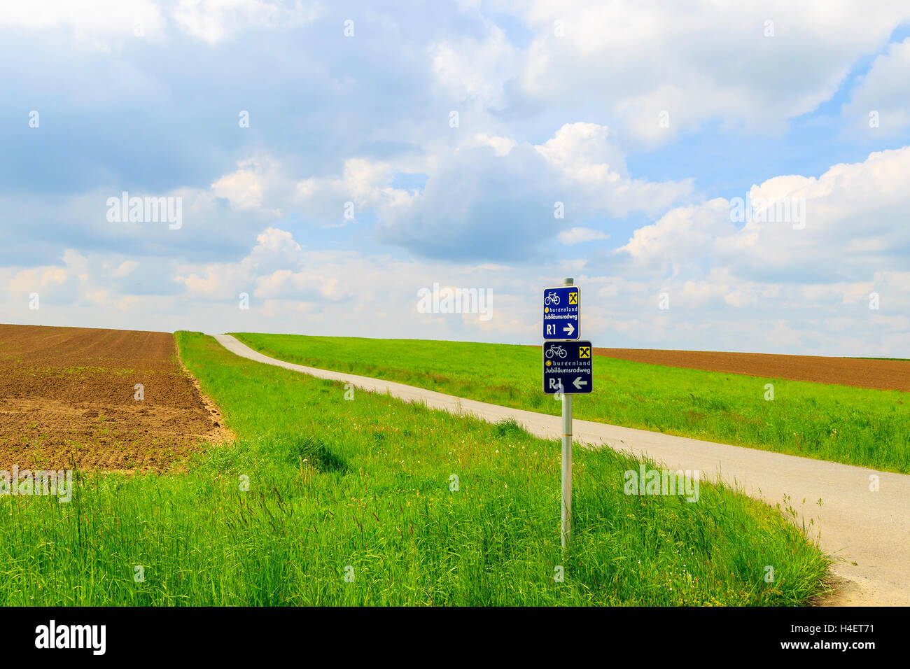 Rural road in green farming field and blue sky with white clouds, Burgenland, southern Austria Stock Photo