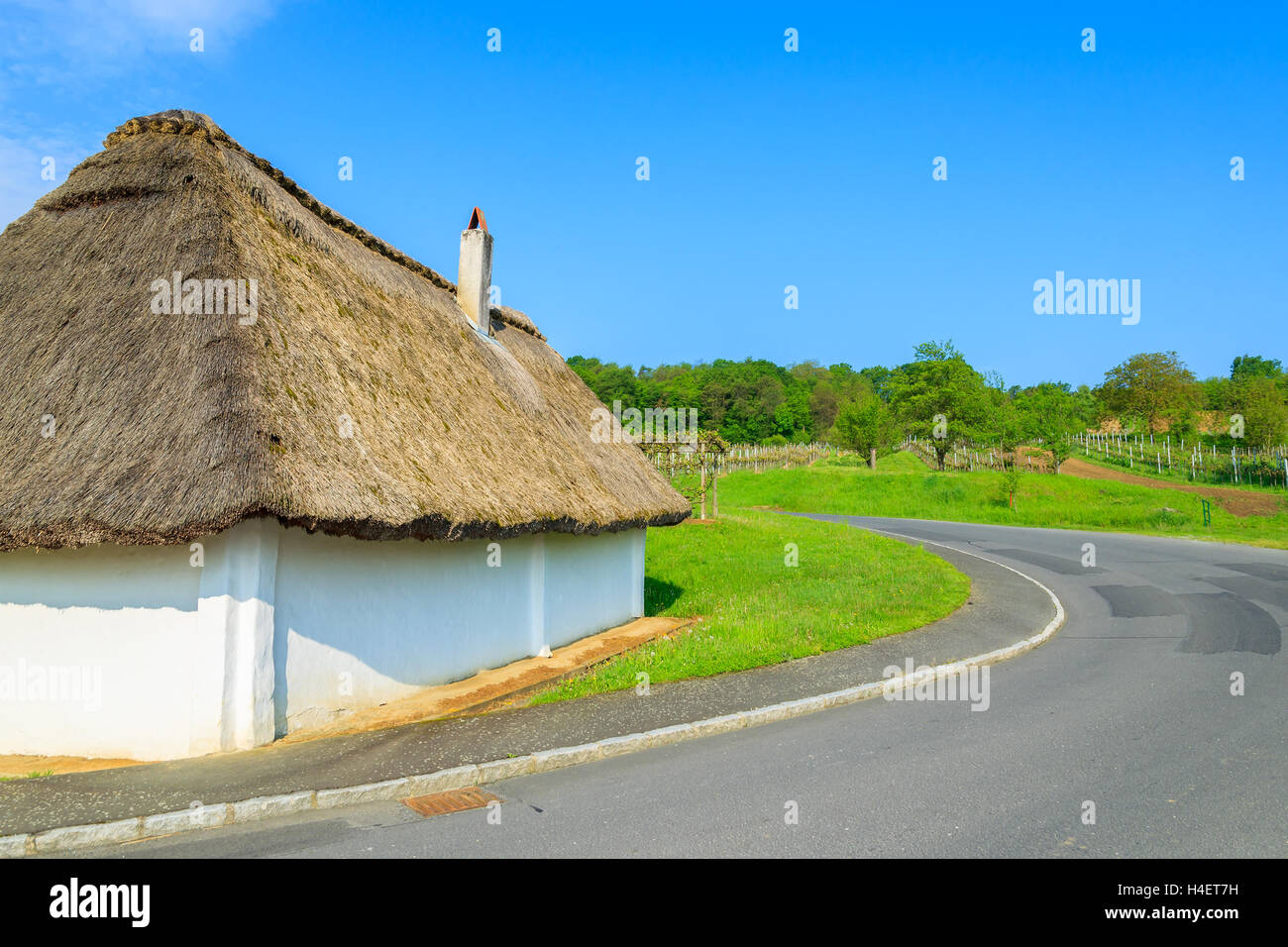 White cottage with thatched roof along a rural road, Burgenland, southern Austria Stock Photo