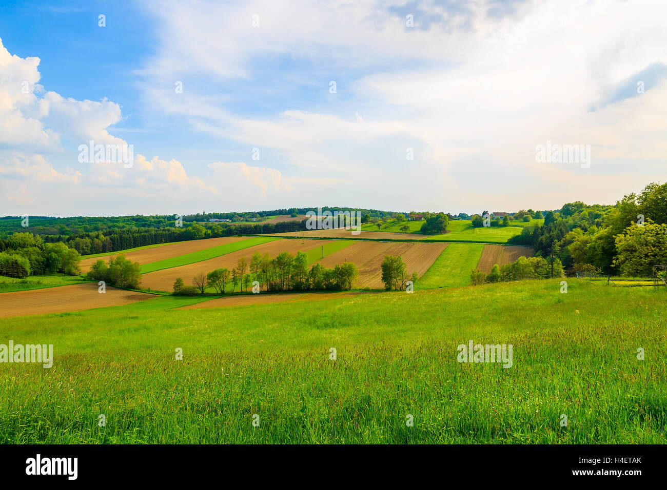 Green field with blue sky in spring countryside landscape of Burgenland ...