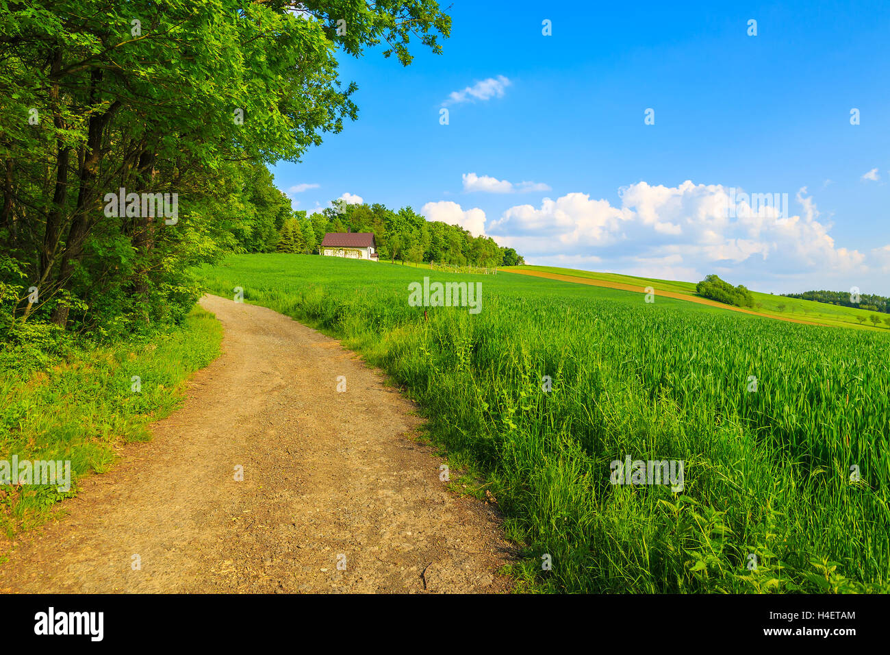 Road in green farming fields with house in background in countryside spring landscape, Burgenland, Austria Stock Photo