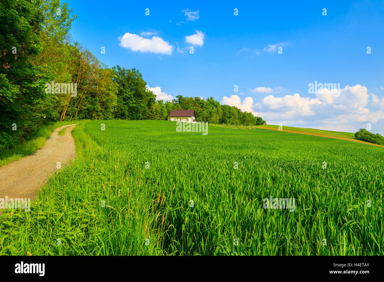 Road to house and green field in farming landscape of Burgenland, Austria Stock Photo