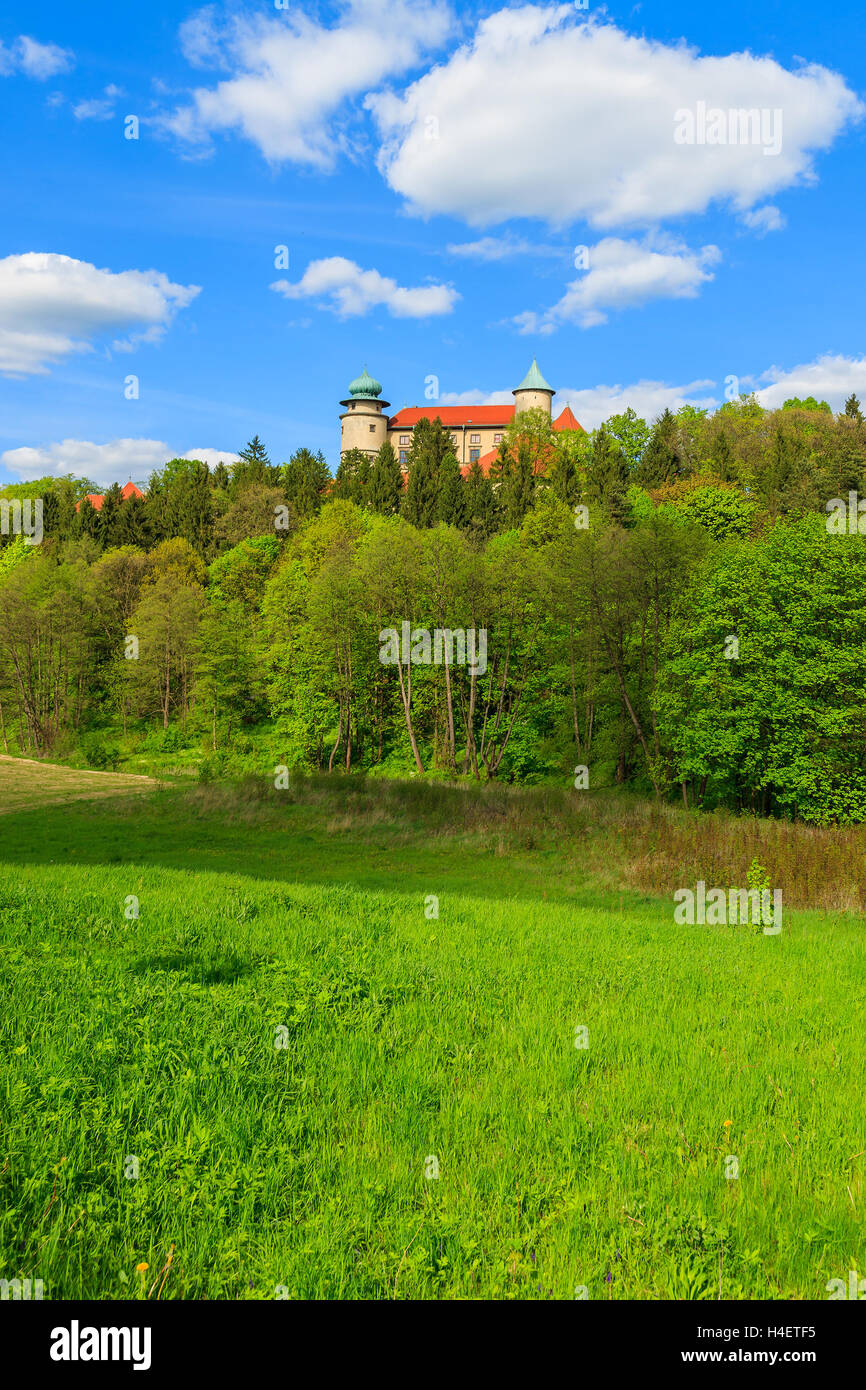 Nowy Wisnicz castle on green hill on sunny beautiful day, Poland Stock Photo