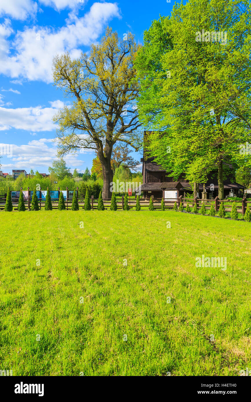 Green field in Lipnica Murowana village on sunny spring day, Poland Stock Photo