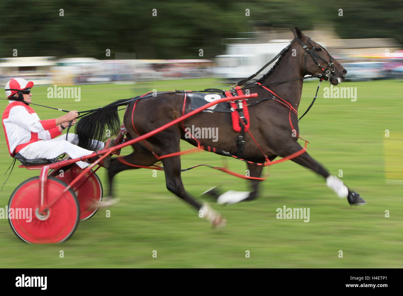 Stanhope, Co. Durham 10th September 2016 Harness Racing at the