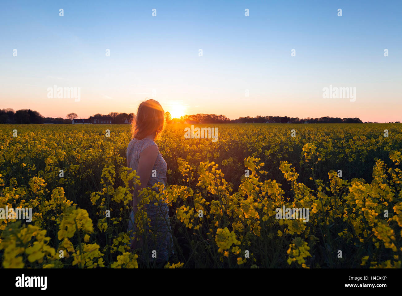 Beautiful woman walking in flower field at sunset Stock Photo - Alamy