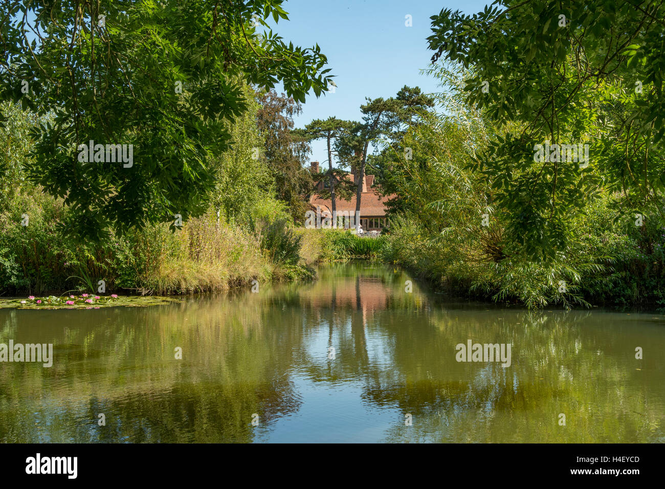 Lake at Otley Hall, Otley, Suffolk, England Stock Photo