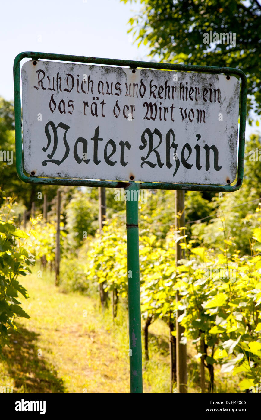 Sign 'Vater Rhein' or 'Father Rhine', Koenigswinter, Rhineland, North Rhine-Westphalia Stock Photo