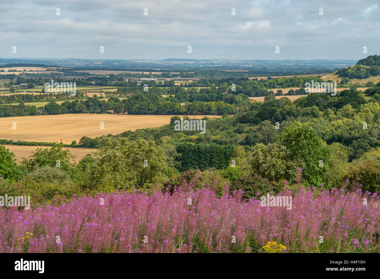Watlington Hill, The Chilterns, Oxfordshire, England Stock Photo