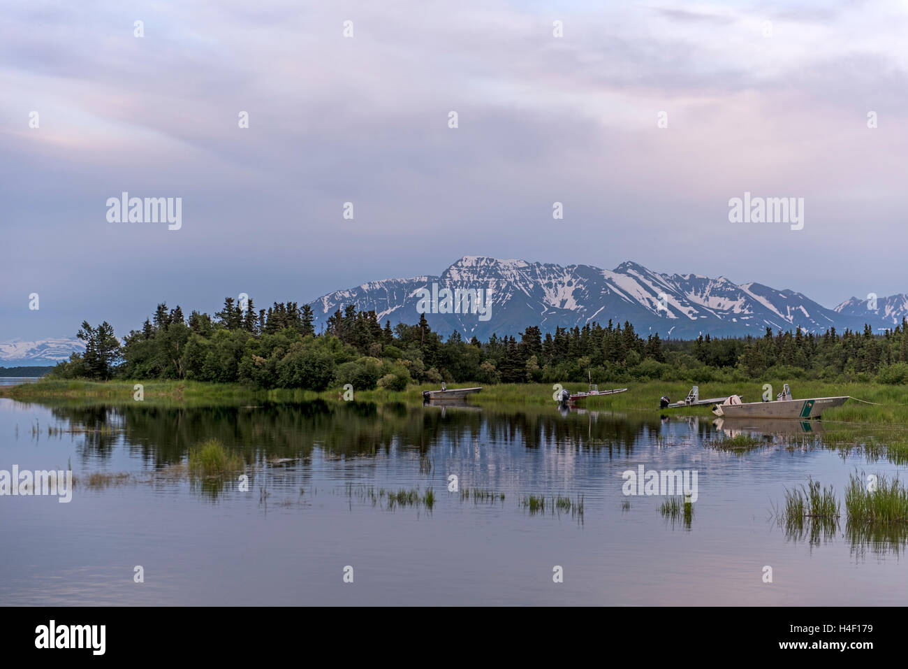 Forest and pond, Katmai National Park, Alaska Stock Photo