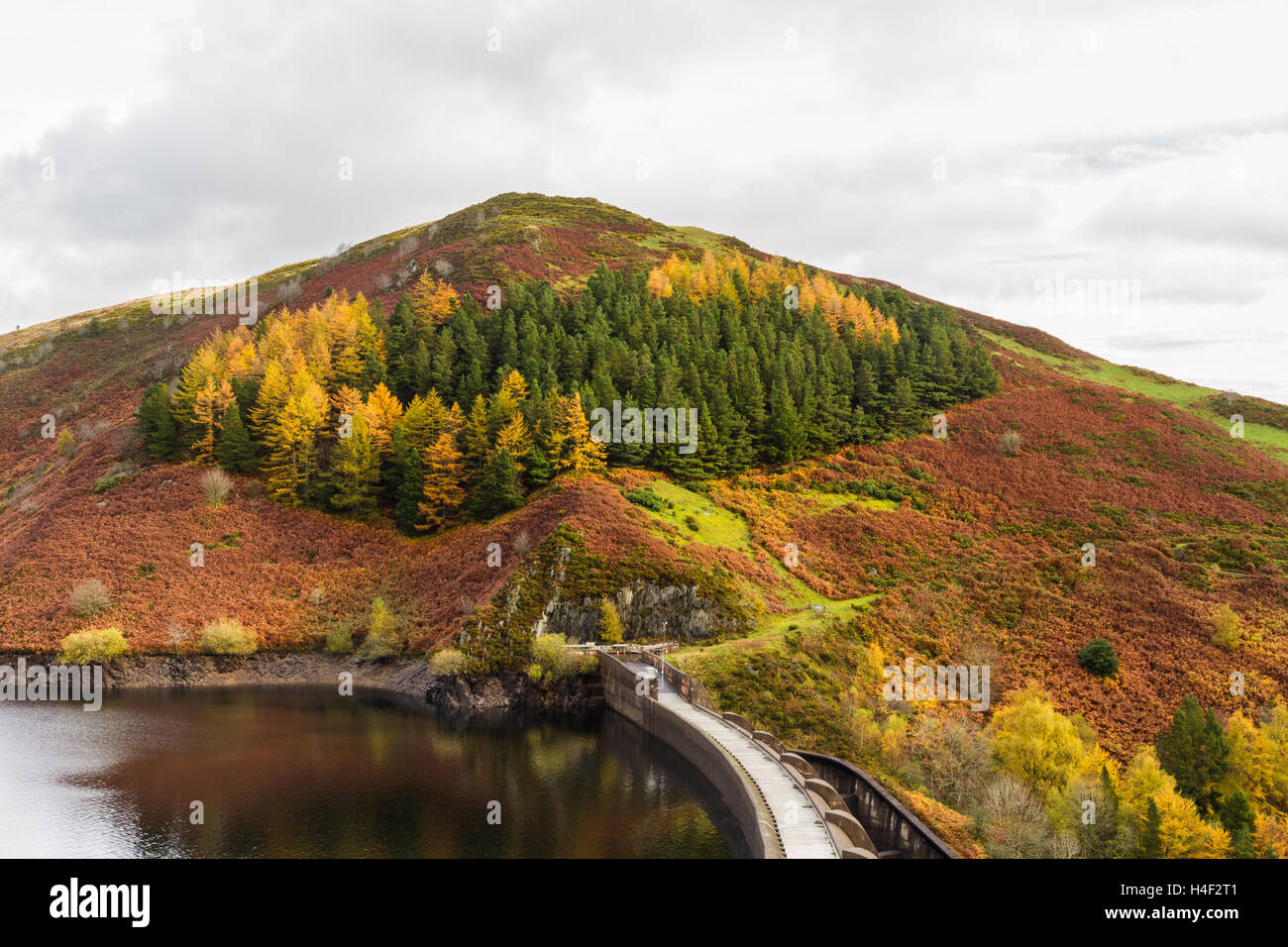 View from above of the Clywedog reservoir and dam. Llanidloes, Powys, Wales, United Kingdom. Stock Photo
