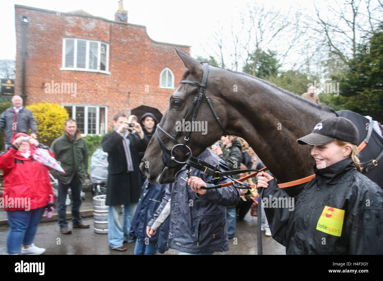 Winning the cheltenham gold cup hires stock photography and images Alamy