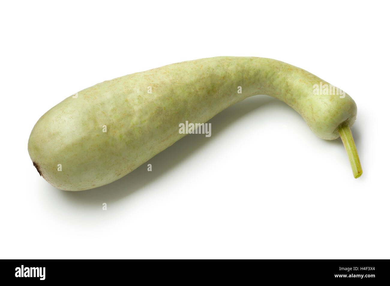 Bottle gourd hires stock photography and images Alamy