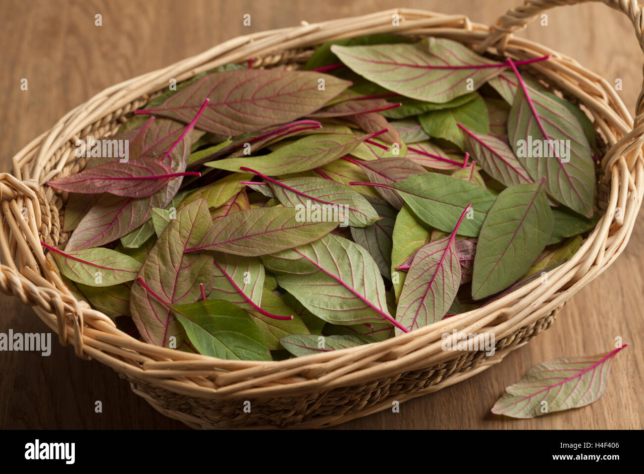 Basket with fresh raw amaranth leaves Stock Photo