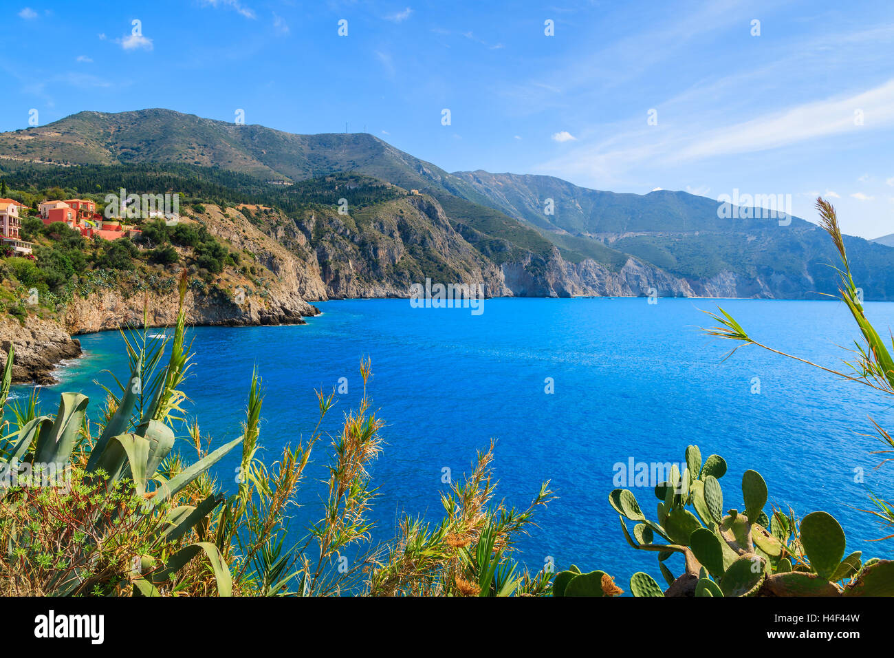 Tropical plants on coast of Kefalonia island near Assos village, Greece Stock Photo