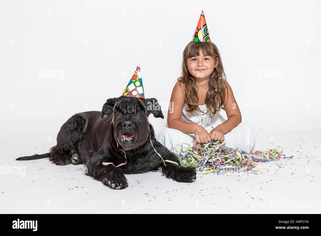 Cute smiling tanned little girl in white dress with paper hat on her head is sitting with lying Giant Black Schnauzer dog Stock Photo