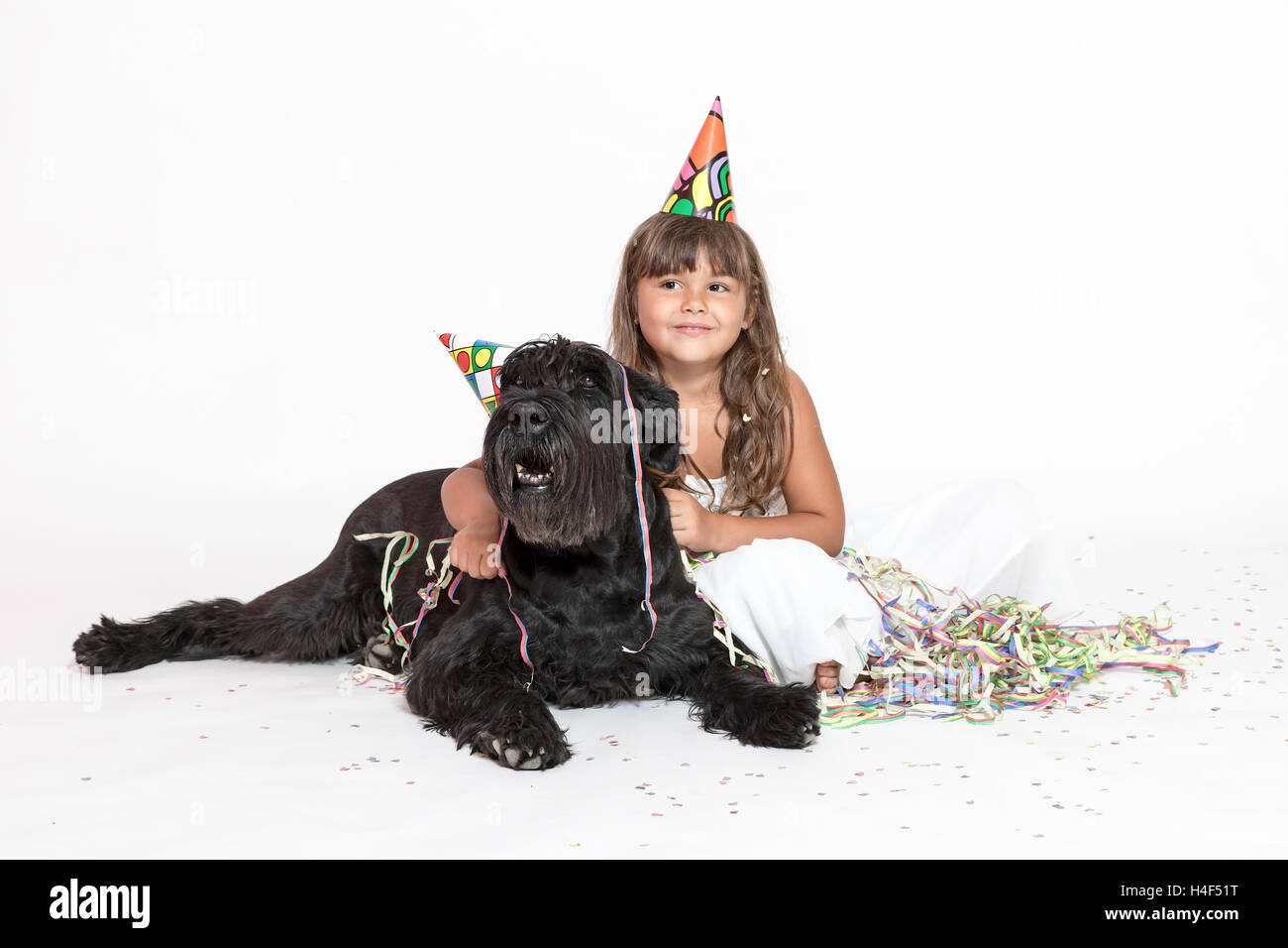Cute smiling tanned little girl in white dress with paper hat on her head is embracing Giant Black Schnauzer dog Stock Photo
