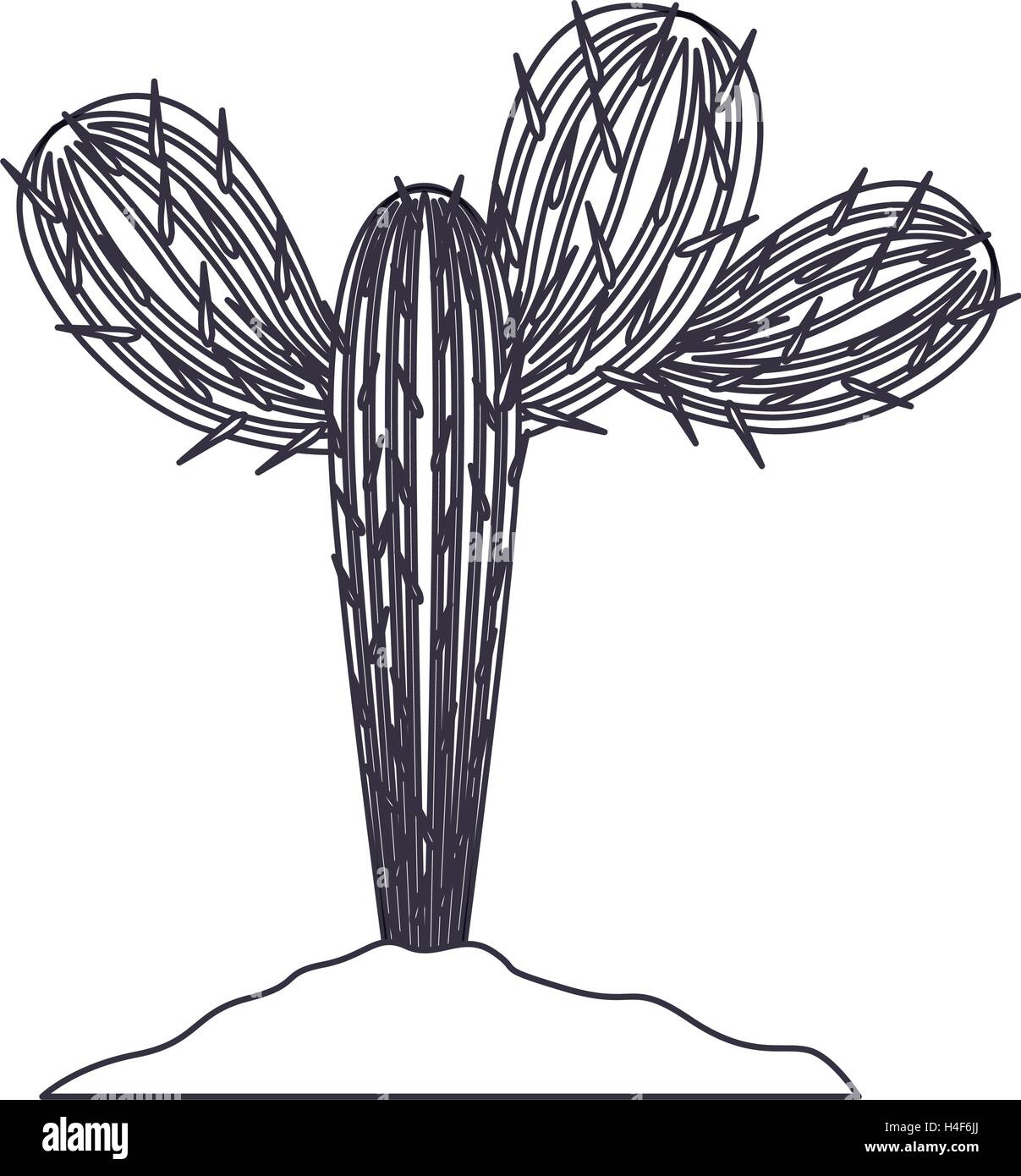Isolated cactus plant design Stock Vector Image & Art - Alamy