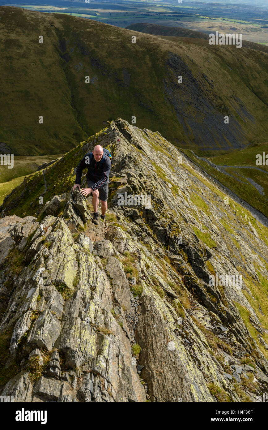 Walkers on the ridge blencathra fell hires stock photography and