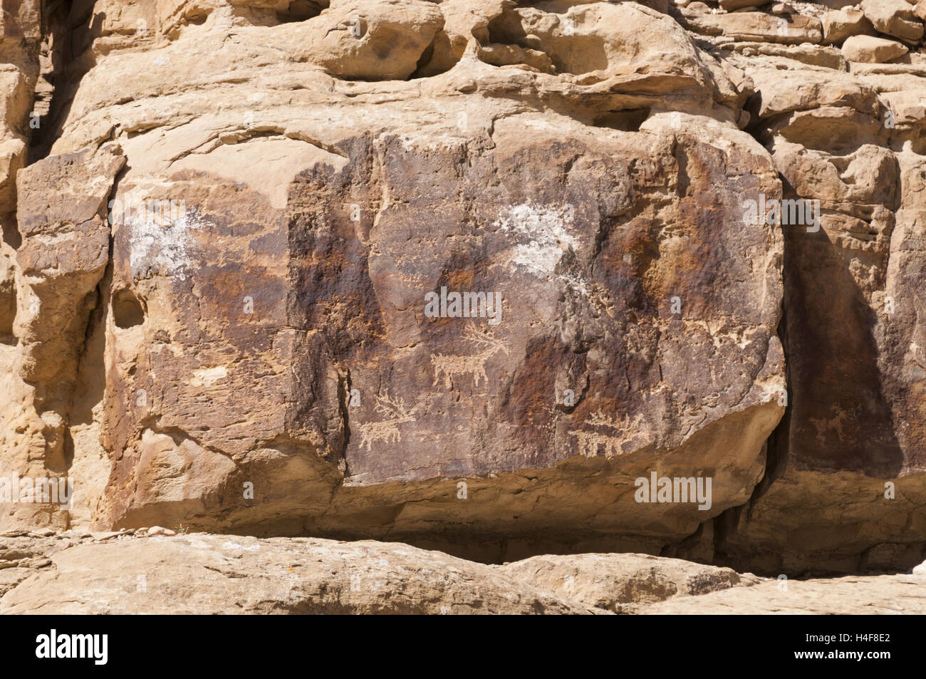 Utah, Nine Mile Canyon, petroglyphs Stock Photo Alamy