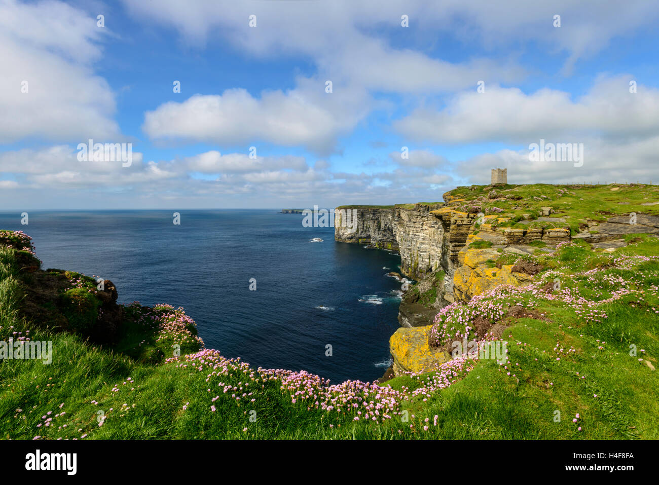 Marwick Head (RSPB) seabird colony and the Kitchener Memorial, Orkney Mainland, Scotland. Stock Photo