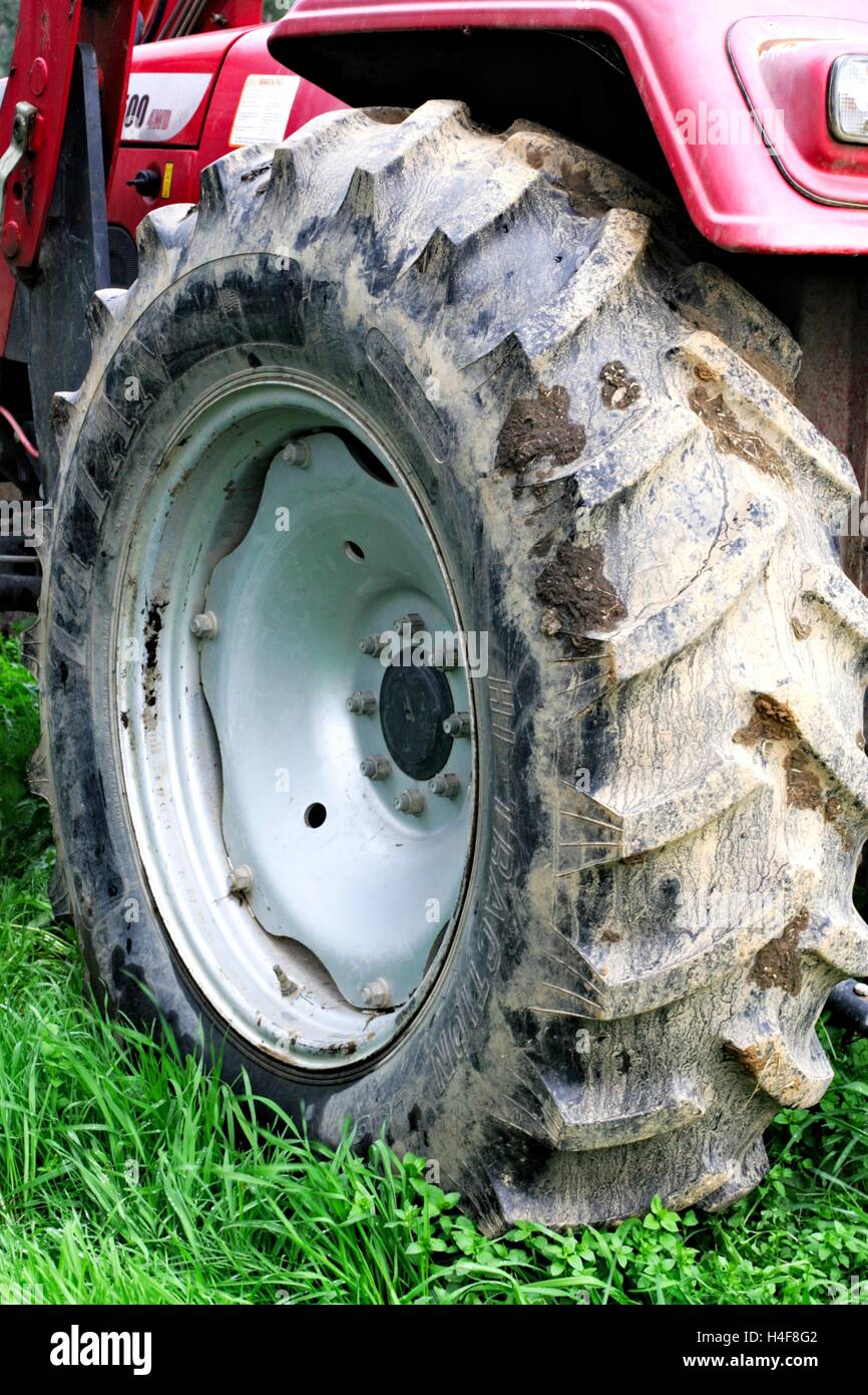 Large, muddy tractor tyre attached to a red tractor, on green grass. Stock Photo