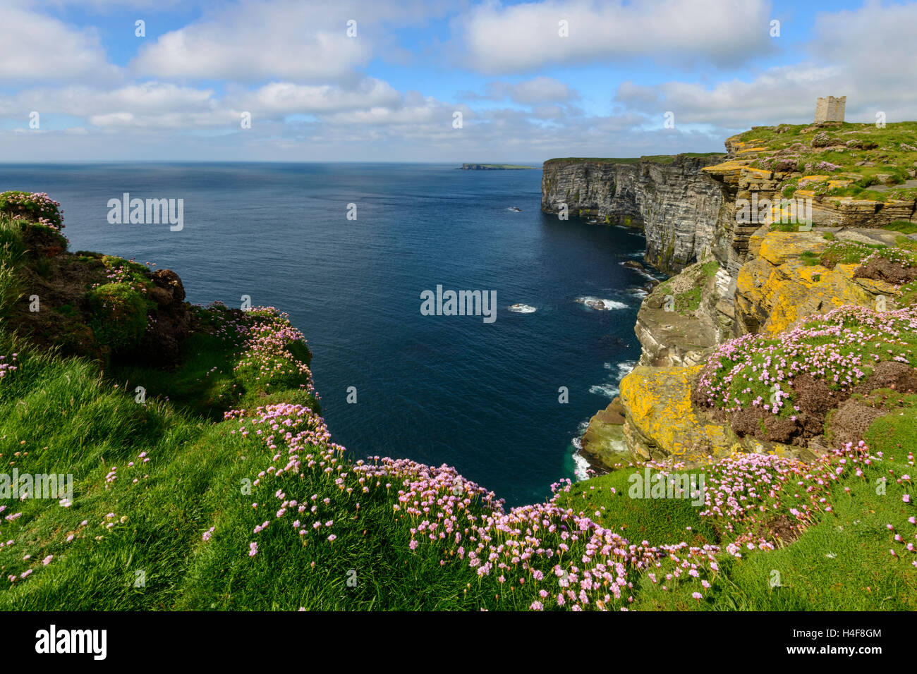 Marwick Head (RSPB) seabird colony and the Kitchener Memorial, Orkney Mainland, Scotland. Stock Photo