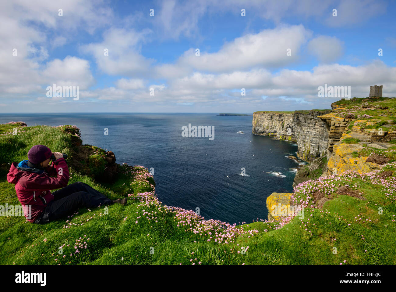 Female birdwatcher on Marwick Head (RSPB) seabird colony with the Kitchener Memorial in the distance, Orkney Mainland, Scotland. Stock Photo