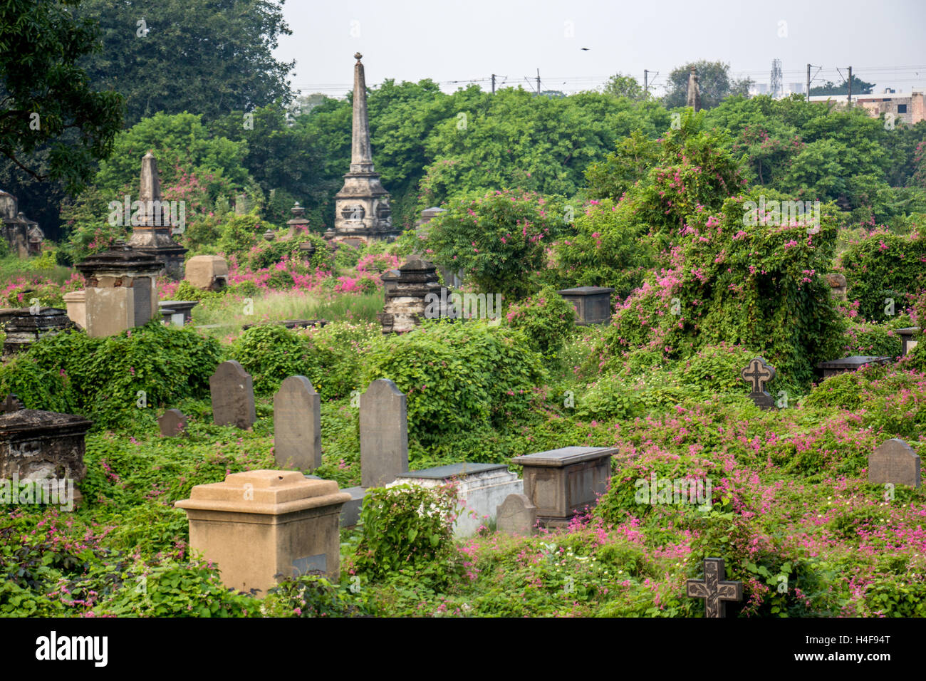 St Mary's Cemetery. Beauty in decay Stock Photo - Alamy