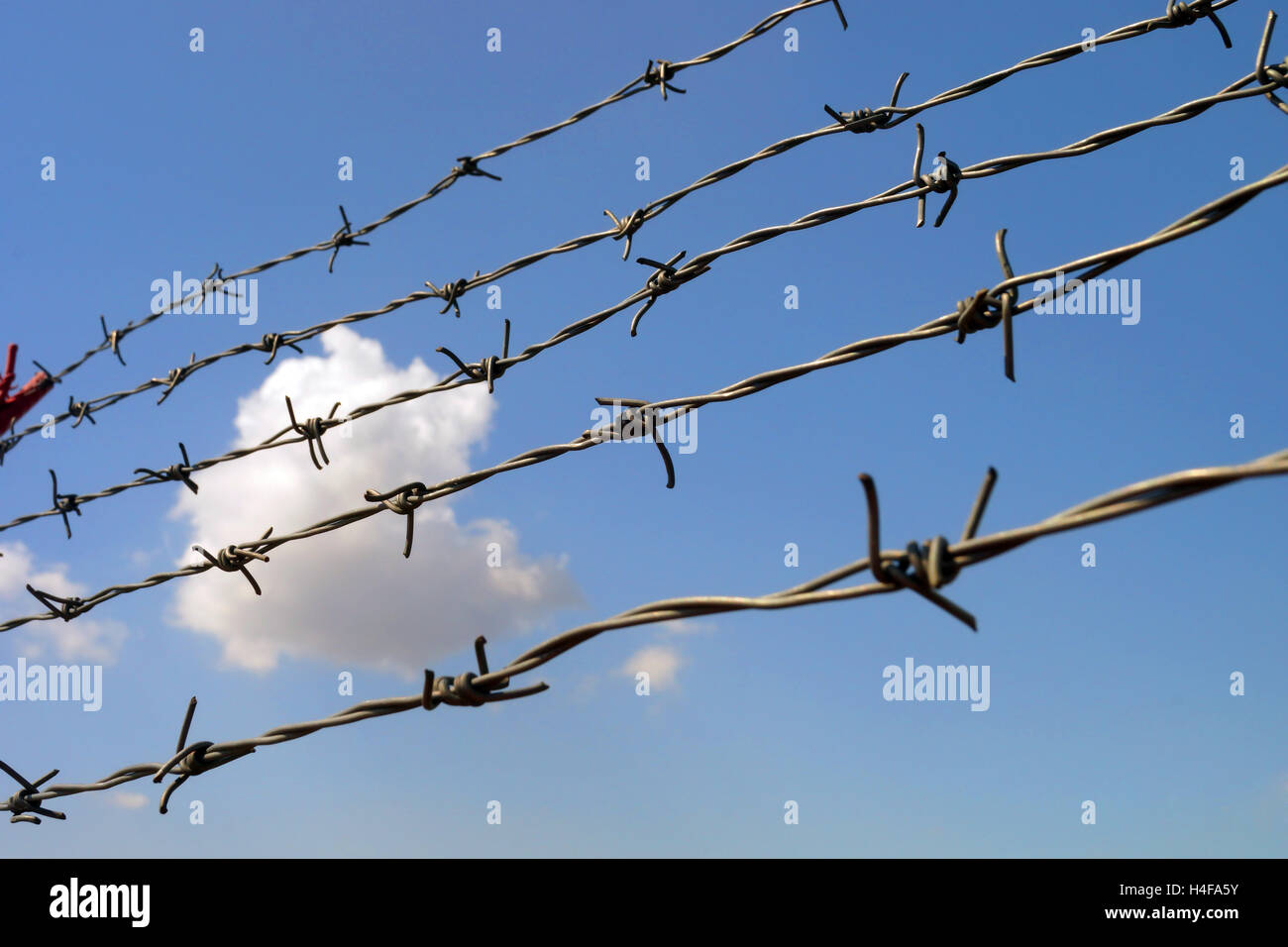 Barbed wire against the sky with cloud. Selective focus. Stock Photo