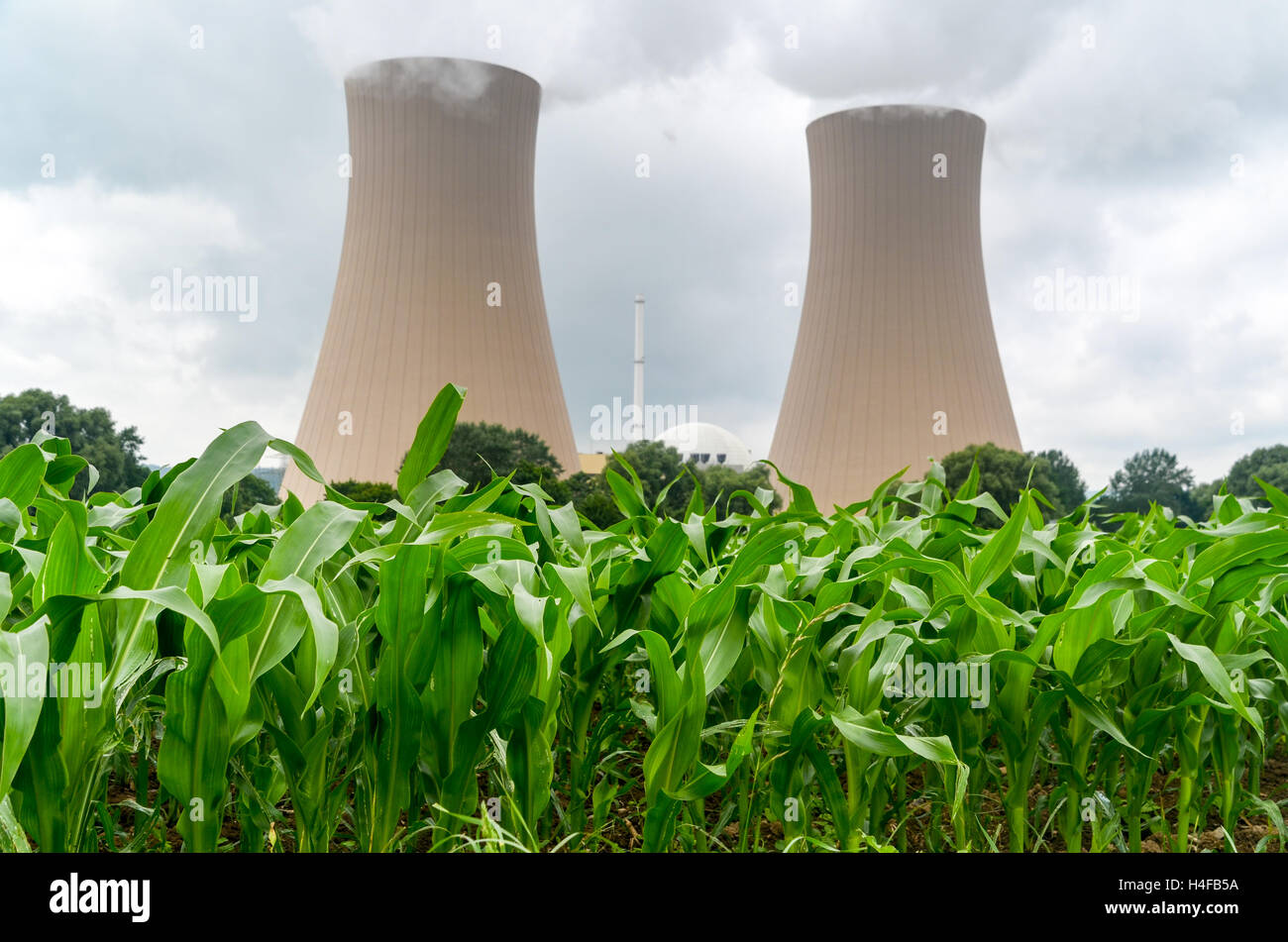 Cooling towers of the Grohnde nuclear powerplant,Germany Stock Photo