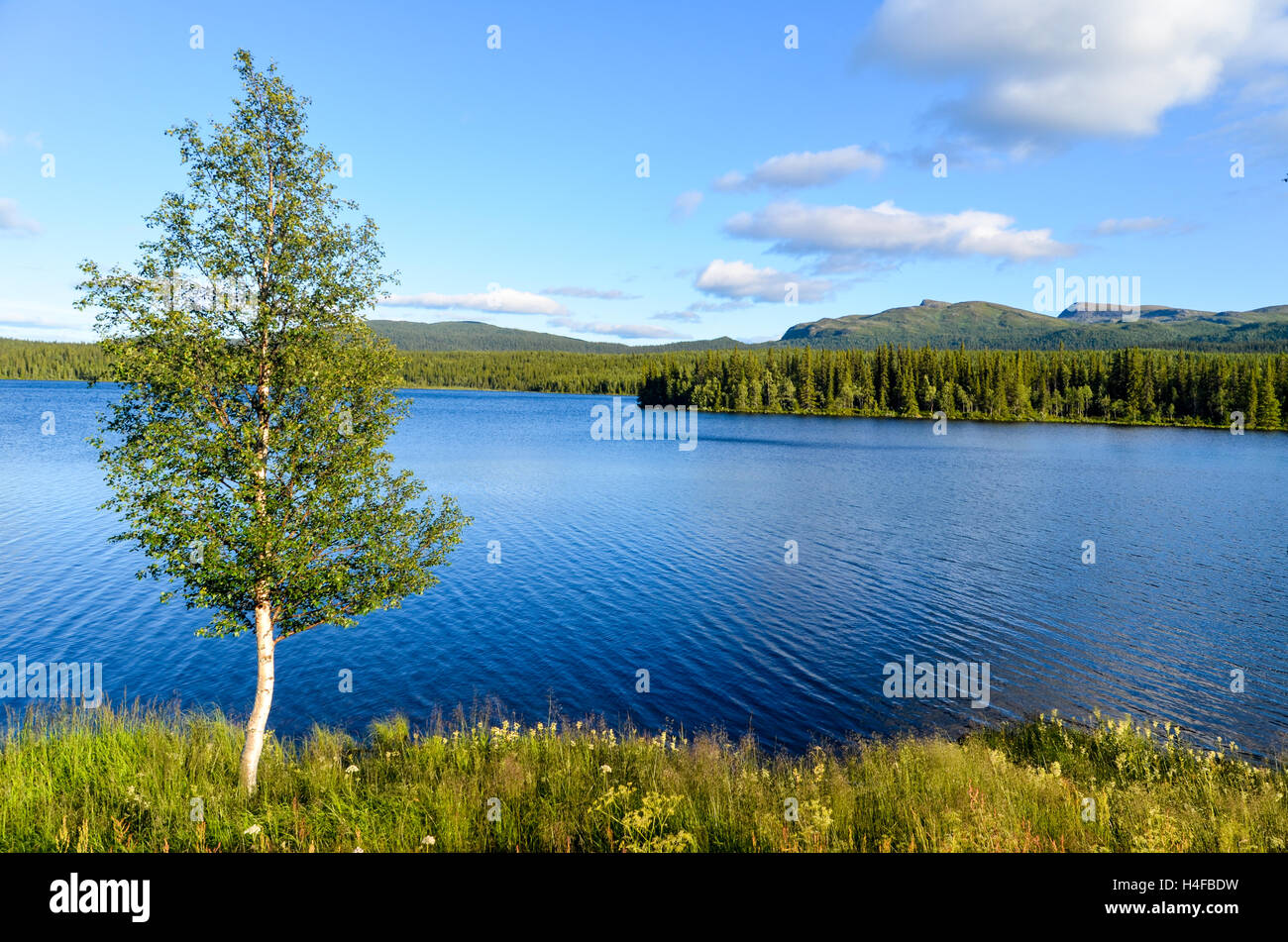 Wild landscape near Stalon, Vildmarksvägen 'wilderness road' , Sweden Stock Photo