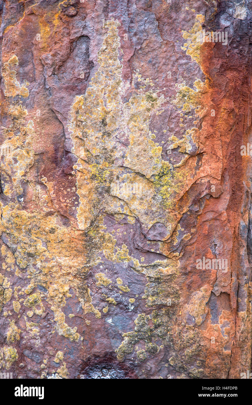 Rusty metal. Stock Photo