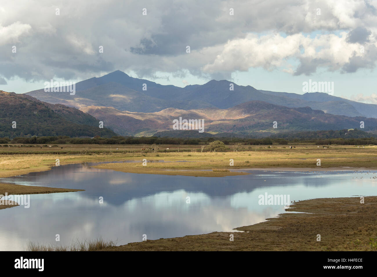 Glaslyn Marshes SSSI, Porthmadog and Snowdonia mountain range in the