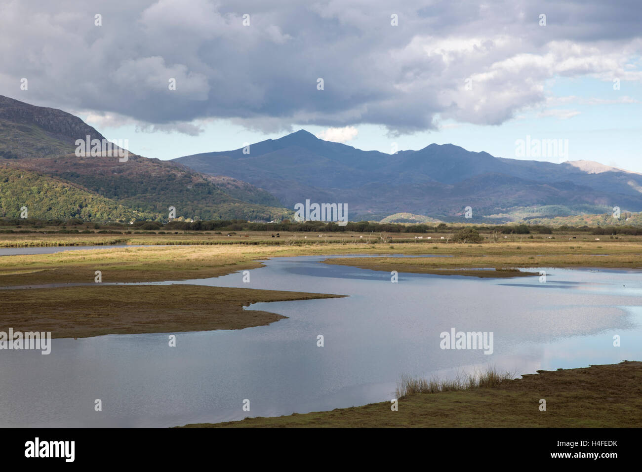 Glaslyn Marshes SSSI, Porthmadog and Snowdonia mountain range in the distance, Snowdonia National Park, North Wales, UK Stock Photo