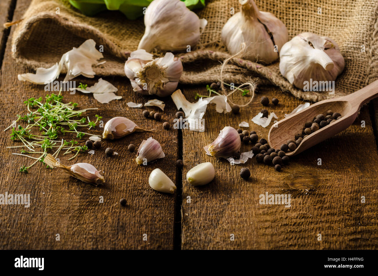 Domestic bio garlic Czech, spices and fresh microgreens plants Stock