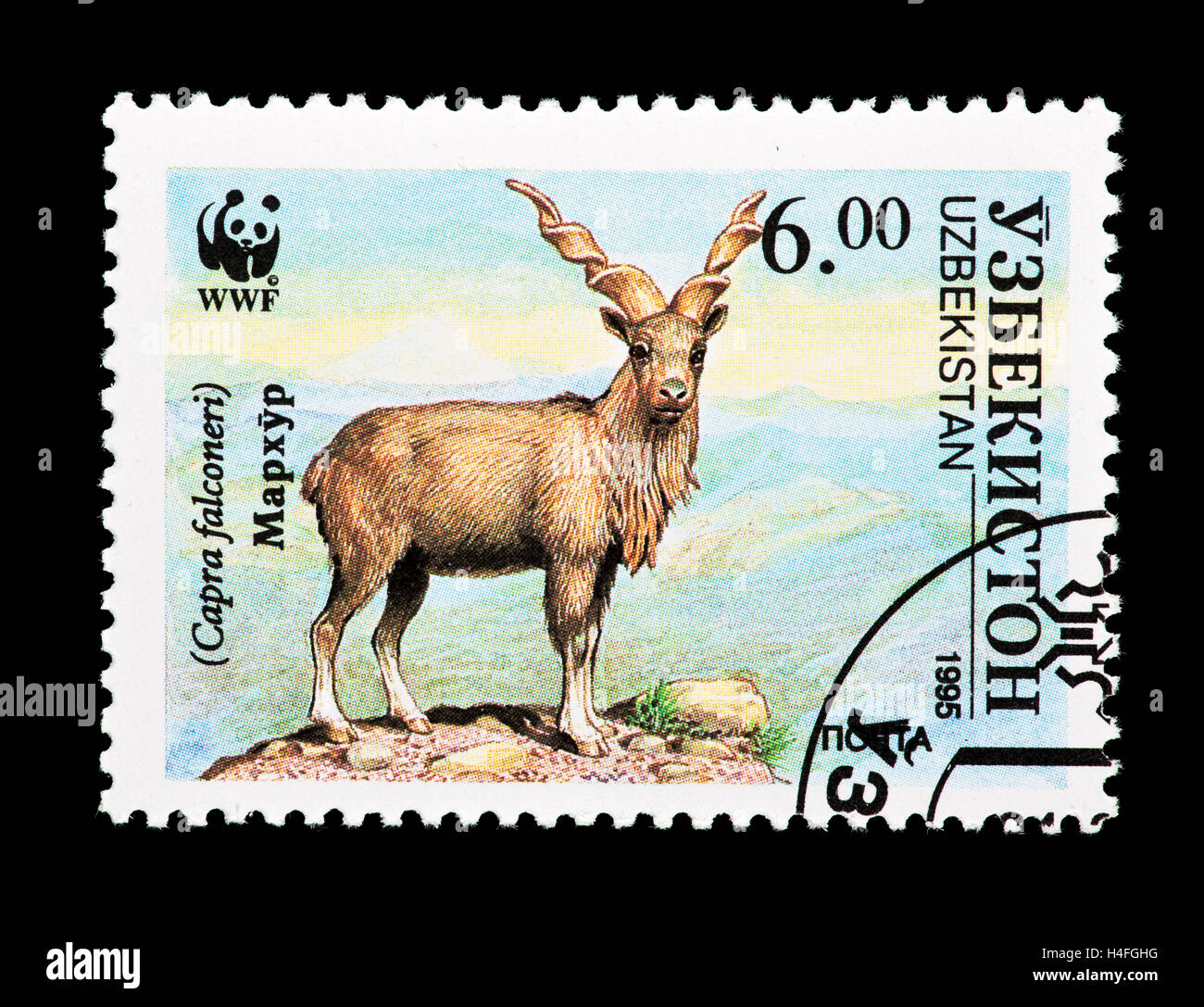 Postage stamp from Uzbekistan depicting a markhor (Capra falconeri) Stock Photo