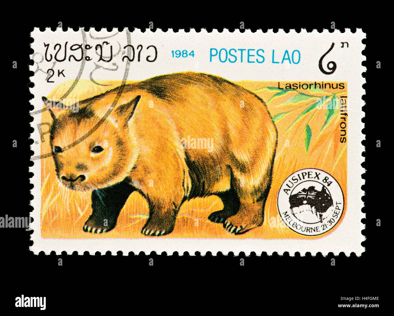 Postage stamp from Laos depicting southern hairy-nosed wombat (Lasiorhinus latifrons) Stock Photo