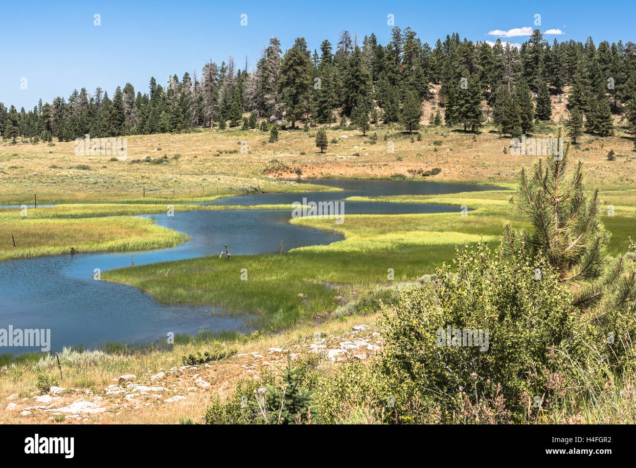 Landscape around Duck Creek, Utah Stock Photo