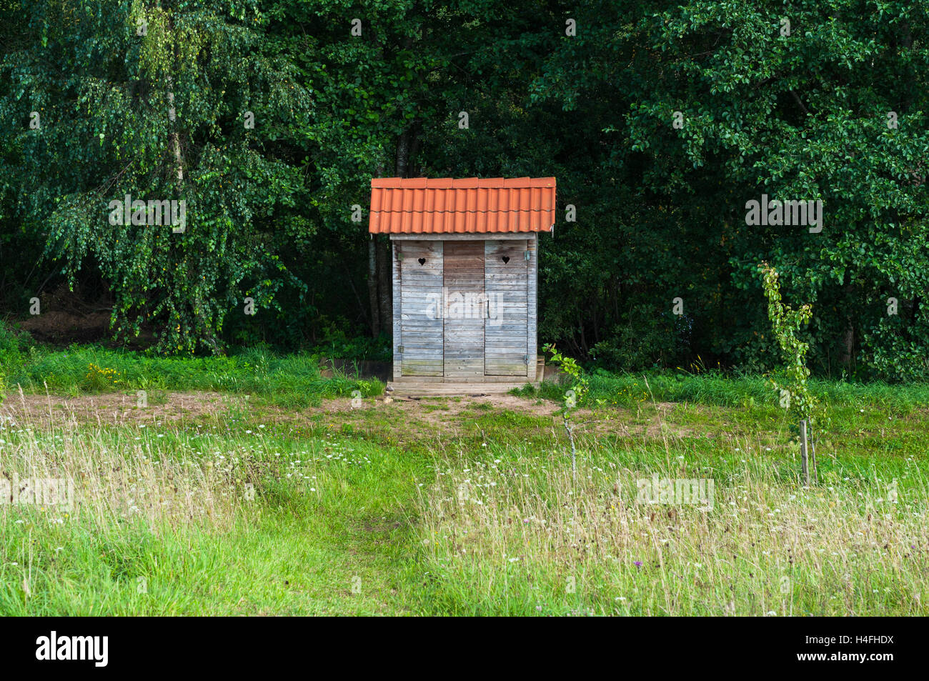 Outhouse in a meadow Stock Photo
