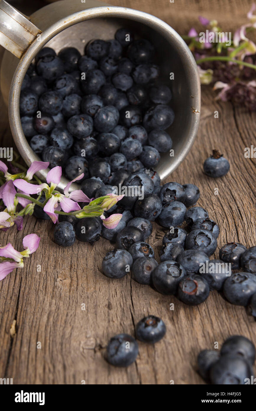 Bilberry and aluminium mug filled blueberries on rustic table Stock