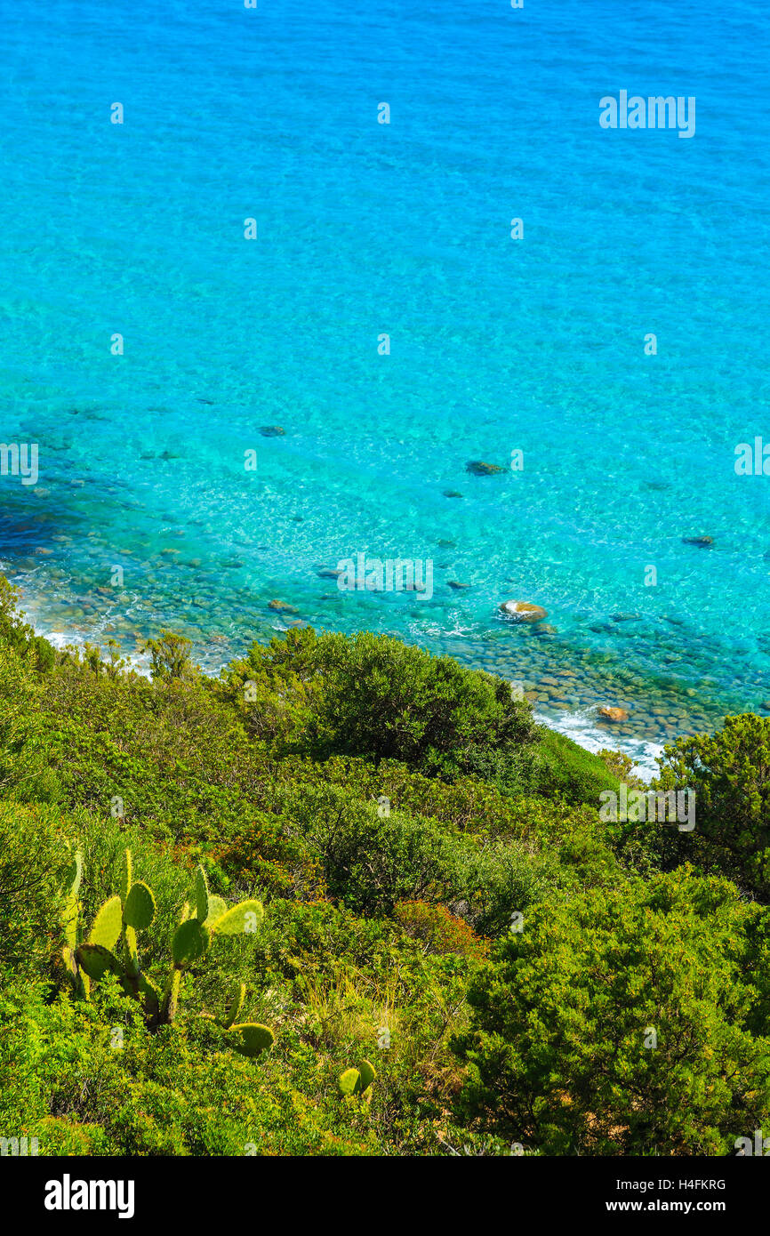 Shallow sea water coast tropical hi-res stock photography and images ...