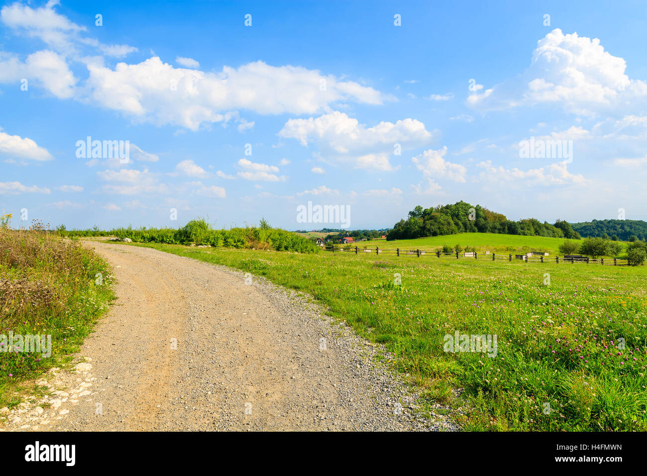 Rural road along a green meadow in summer landscape near Krakow, Poland Stock Photo