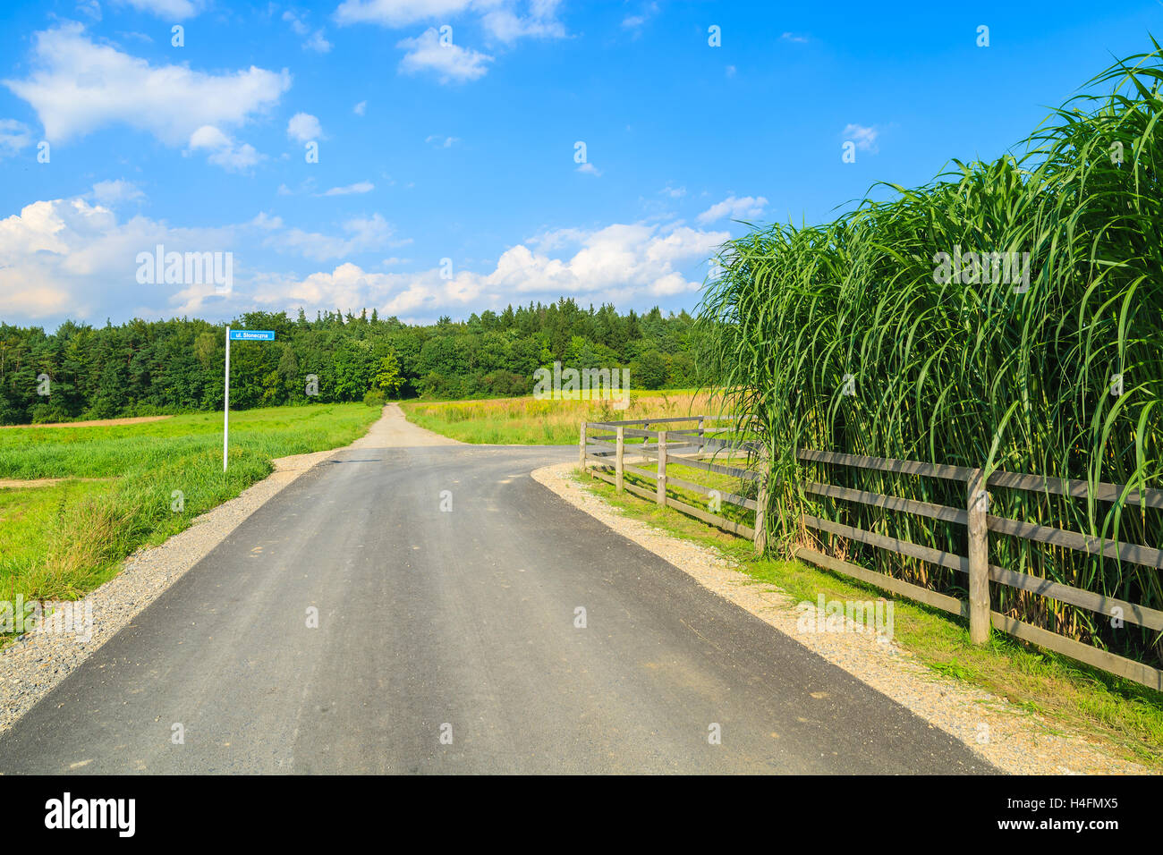 Rural road in countryside landscape of Poland near Krakow Stock Photo