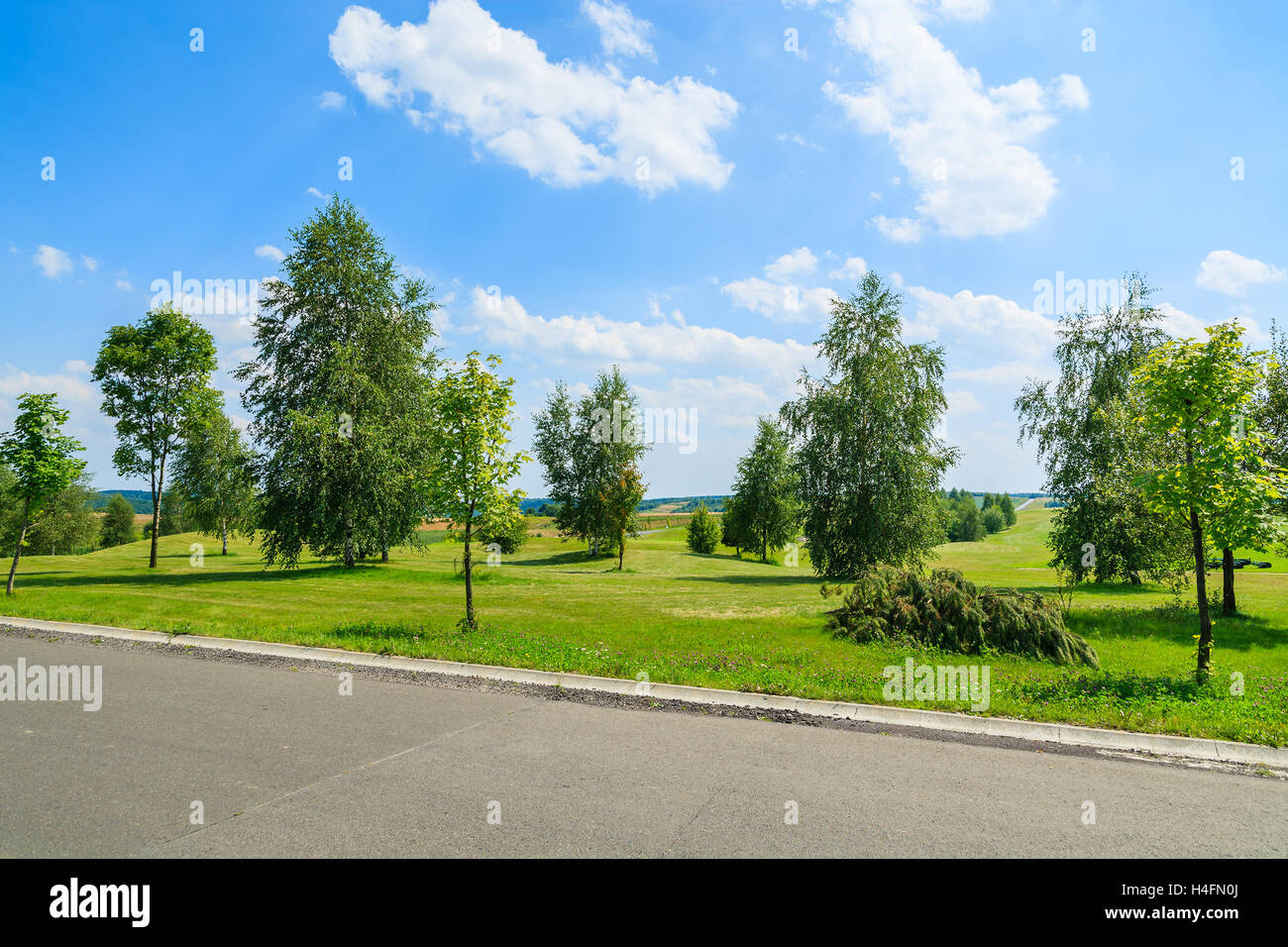 Road in green fields with trees and white clouds on sunny blue sky, Poland Stock Photo