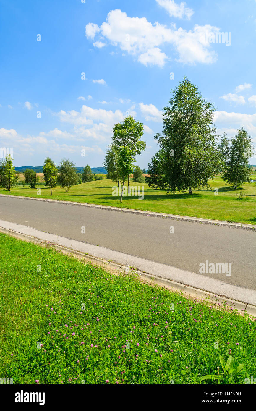 Road in green fields with trees and white clouds on sunny blue sky, Poland Stock Photo