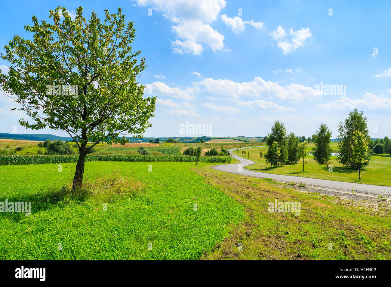 Sun sunny countryside hi-res stock photography and images - Alamy