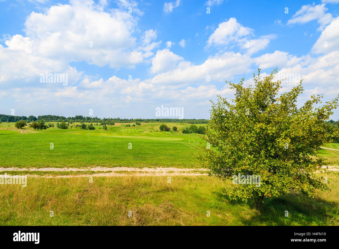 Rural road in countryside landscape on sunny summer day near golf course area in Paczultowice village, Poland Stock Photo