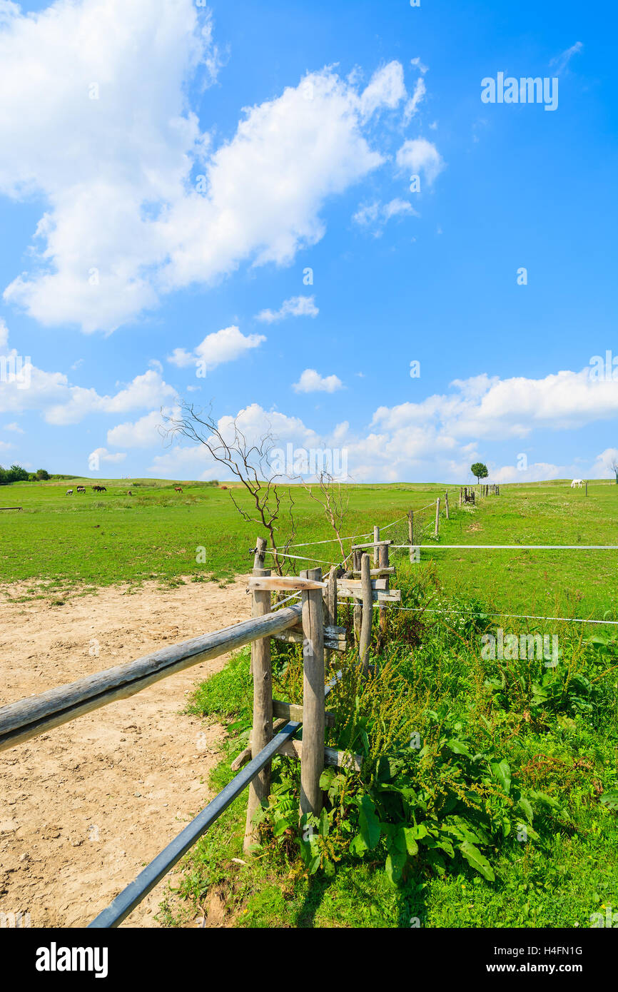 Wooden fence on a green pasture for horses in summer landscape of Poland Stock Photo