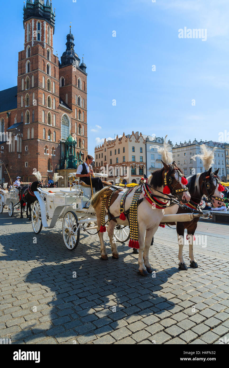 KRAKOW, POLAND - SEP 7, 2014: Horse carriages in front of Mariacki church on main square of Krakow city. Taking a horse ride in a carriage is very popular among tourists visiting Krakow. Stock Photo