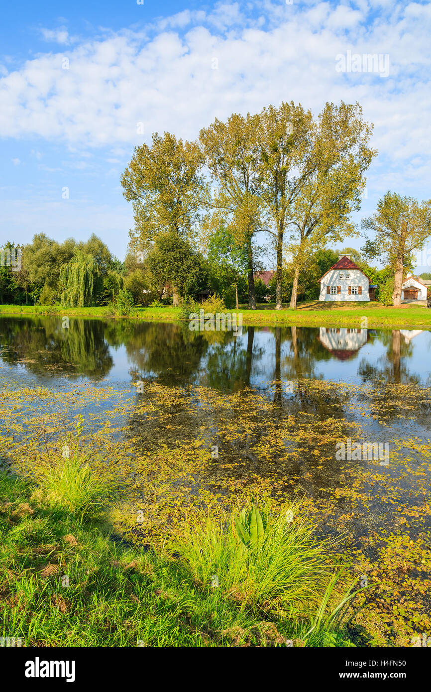Lake with traditional cottage house on shore in Radziejowice village on sunny summer day, Poland Stock Photo